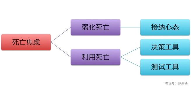 如何面对教育中的竞争？配图