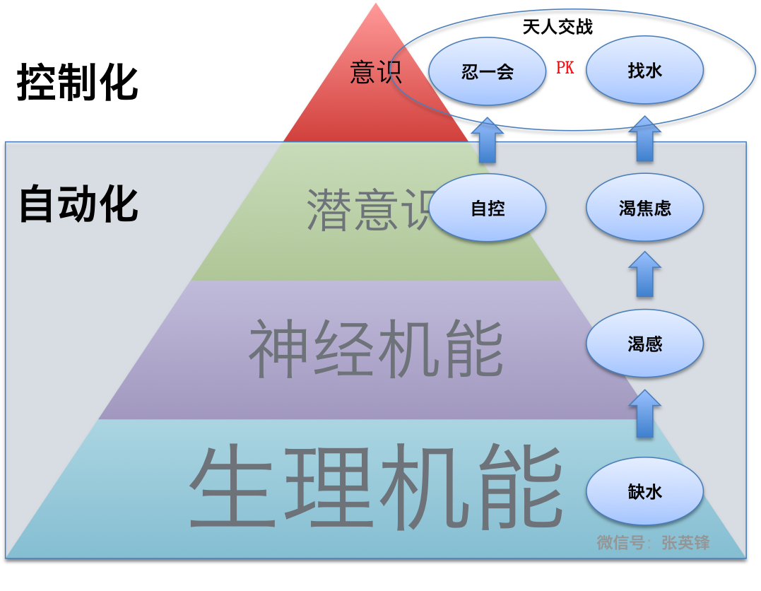为什么打败你的不是命运，而是自动化？配图