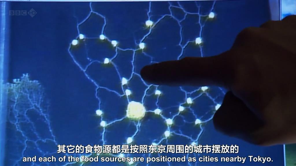 马尔萨斯陷阱和大历史周期律配图