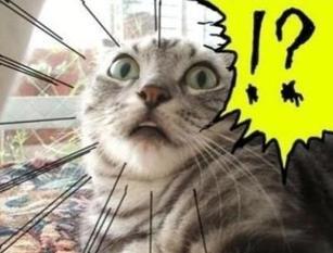 在加拿大乘坐Uber有哪些好玩的故事?配图