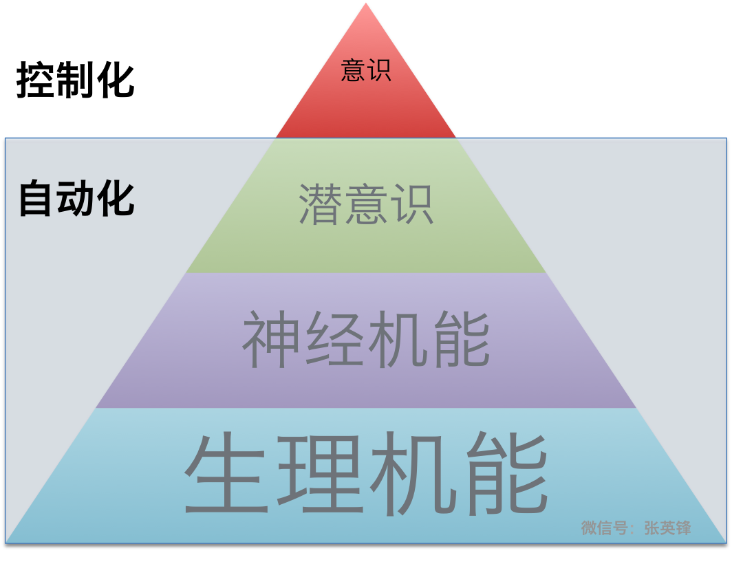 为什么打败你的不是命运，而是自动化？配图