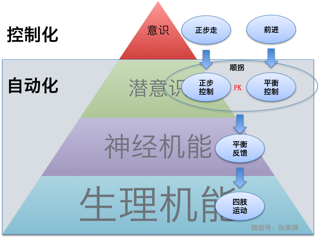 为什么打败你的不是命运，而是自动化？配图