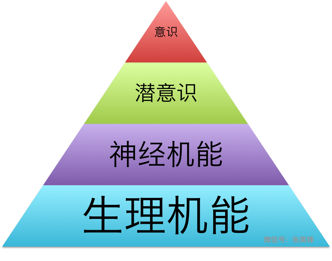 为什么打败你的不是命运，而是自动化？配图