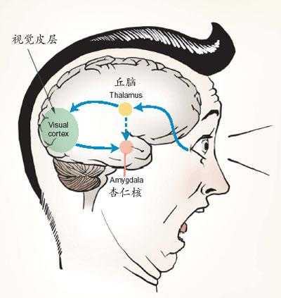 负面情绪存在的价值是什么？配图