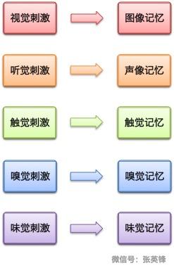 为什么教育是把火炬点燃,不是把容器灌满?配图