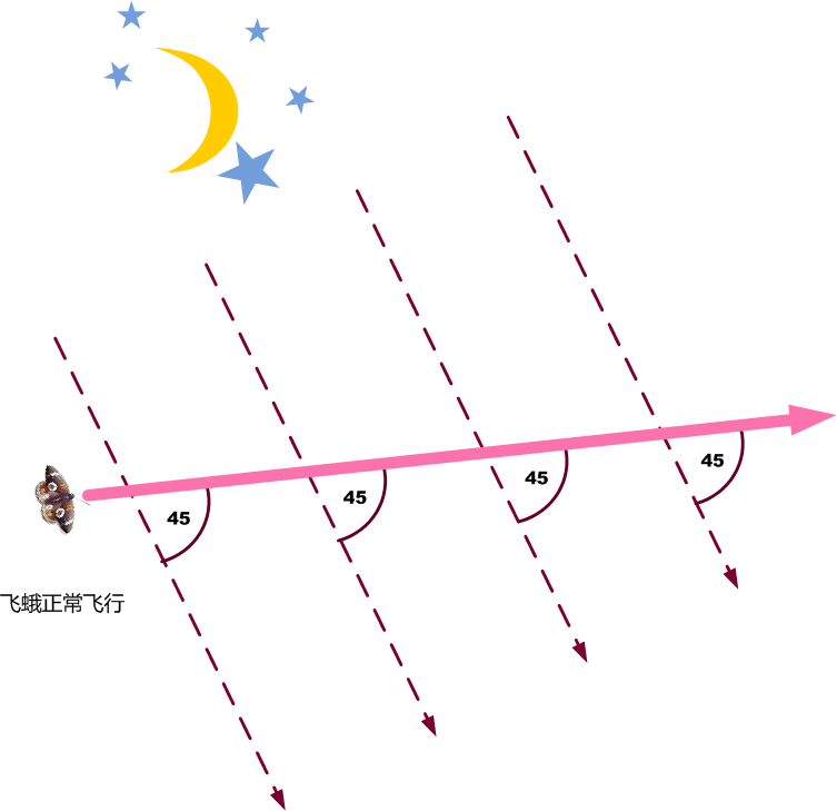 昆虫为什么不会因趋光性齐刷刷地奔向太阳？配图