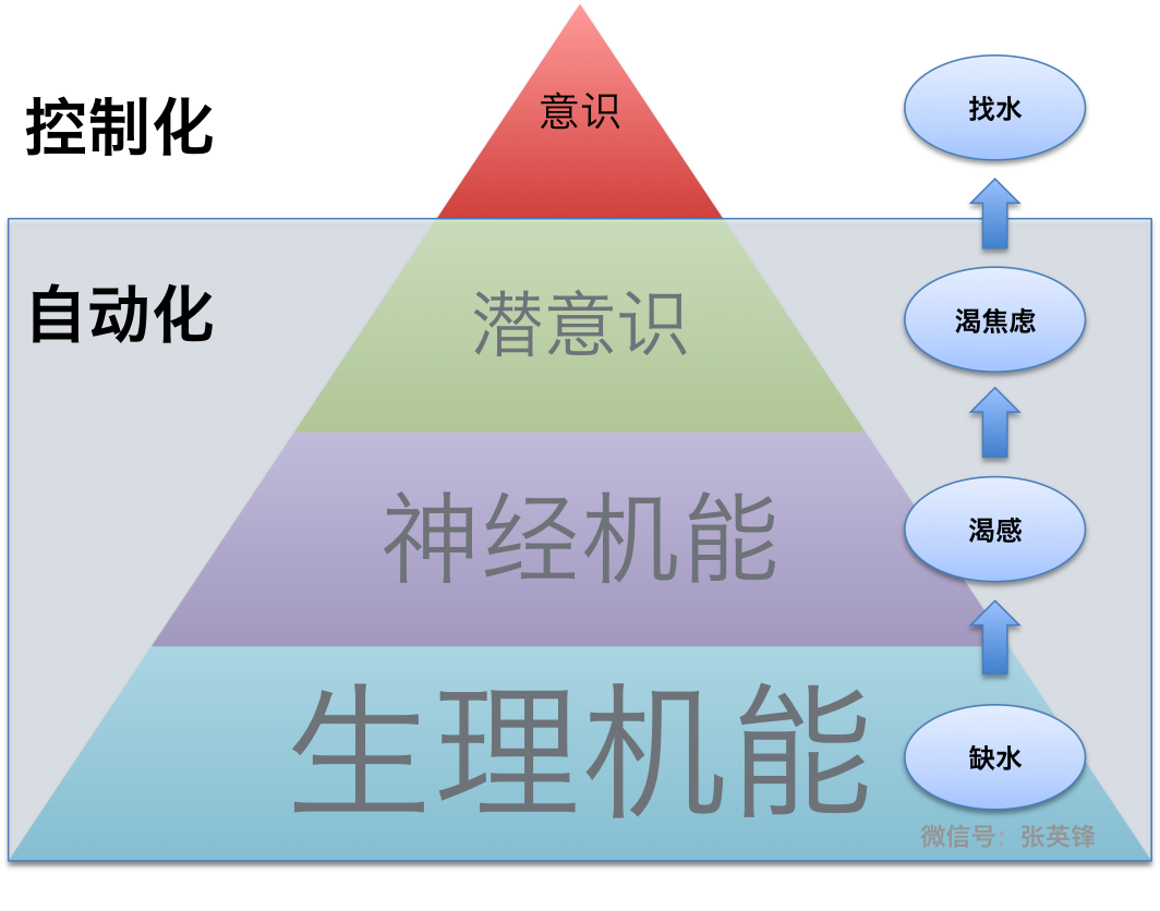 为什么打败你的不是命运，而是自动化？配图