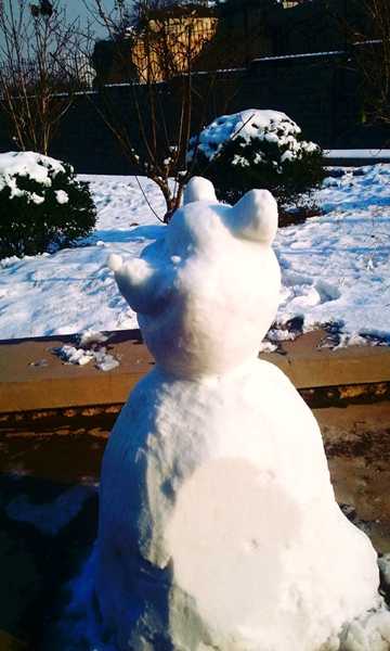 下雪了,你们堆雪人了吗?配图