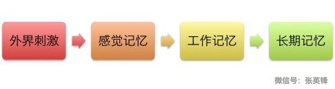 为什么教育是把火炬点燃,不是把容器灌满?配图