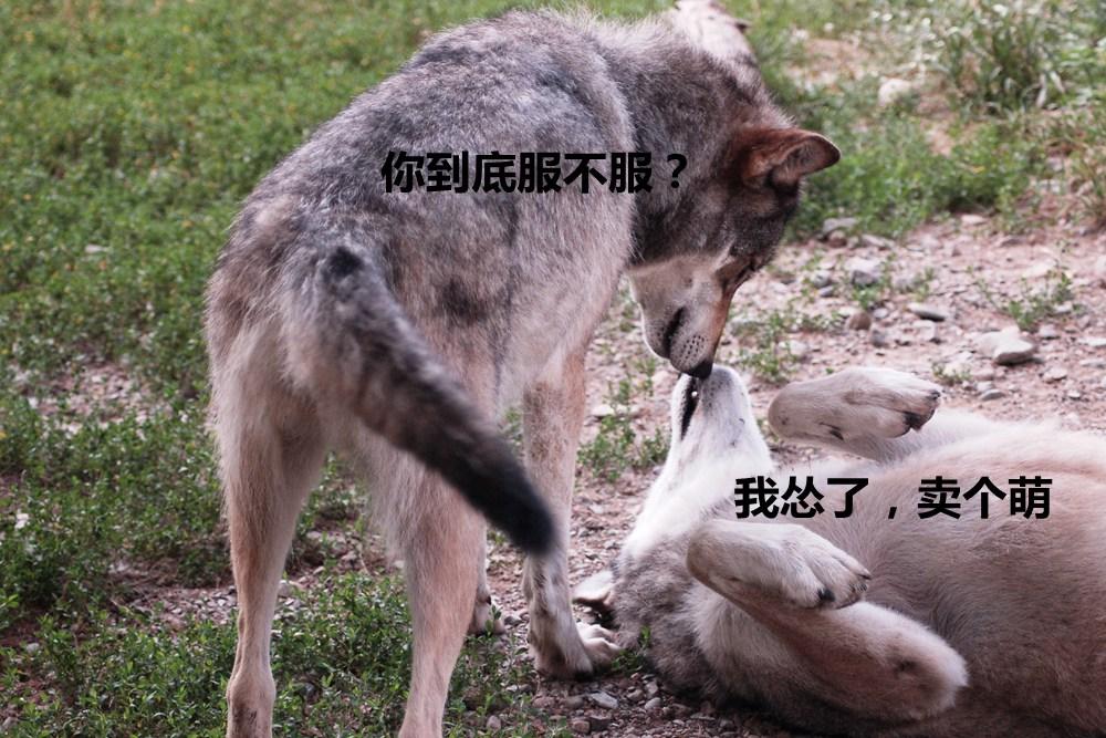 不打骂儿女的教育方式是否科学、先进？配图