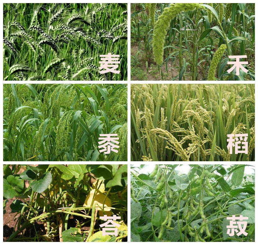 先秦战争的数十万军队是怎么来的?(四)农业生产篇配图