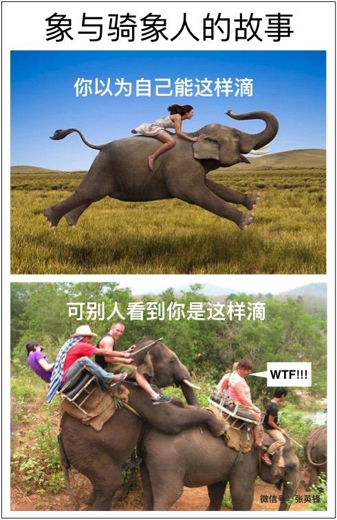 如何通过心智自动化来改变自己的命运？配图