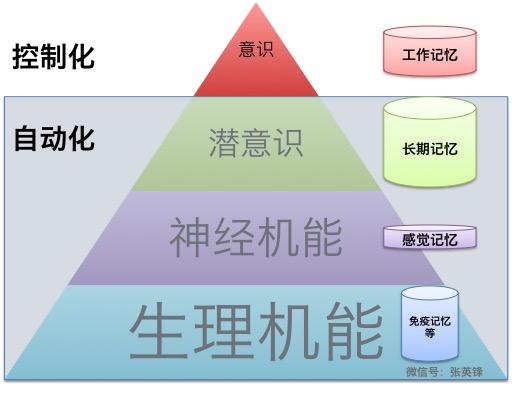 为什么教育是把火炬点燃,不是把容器灌满?配图