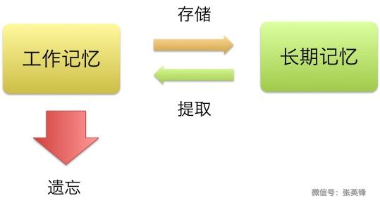 为什么教育是把火炬点燃,不是把容器灌满?配图