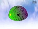 昆虫为什么不会因趋光性齐刷刷地奔向太阳？配图
