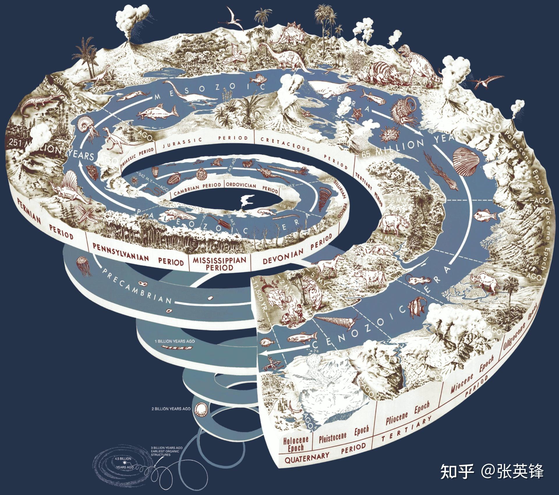 为什么信息不是能量？配图
