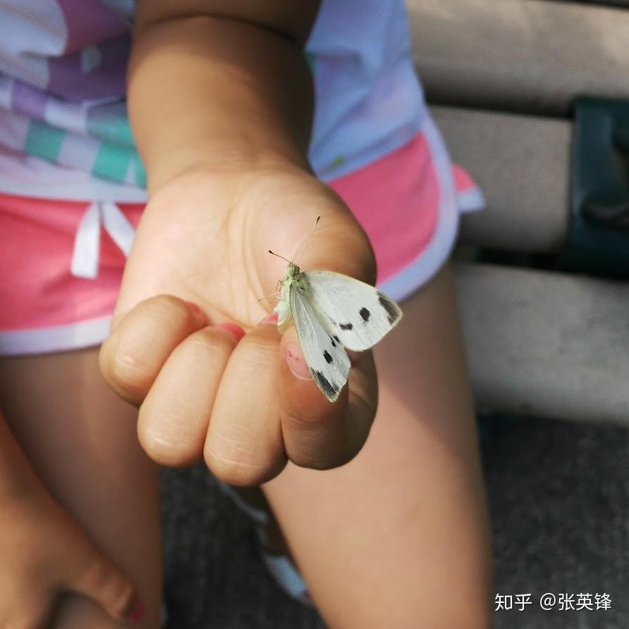 如何理解「异或（XOR）」运算在计算机科学中的重要性？配图